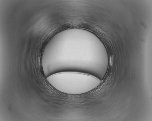 X0000111151155200906301031