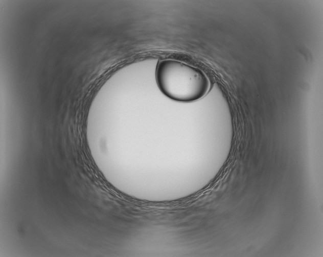 X0000111151157200906301031