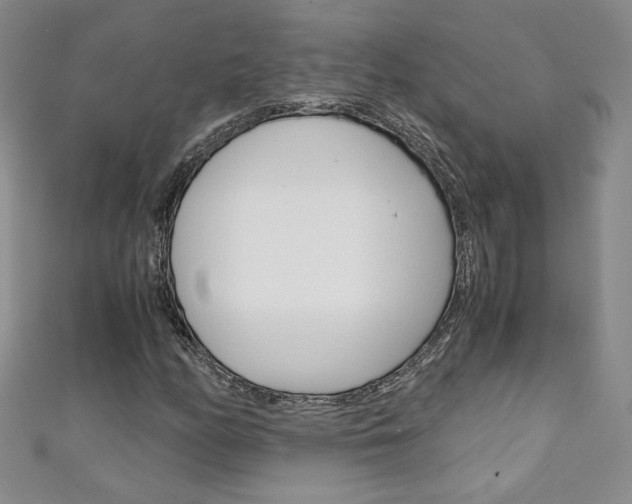 X0000111151158200906301031