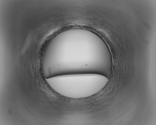 X0000111151159200906301031
