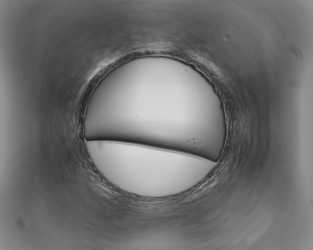 X0000111151160200906301031