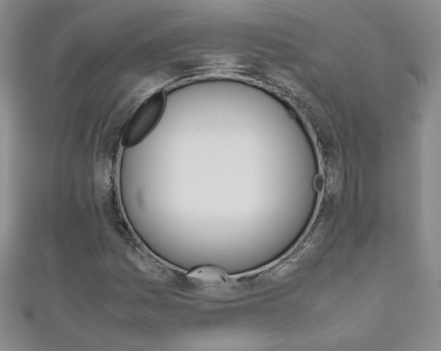 X0000111151161200906301031
