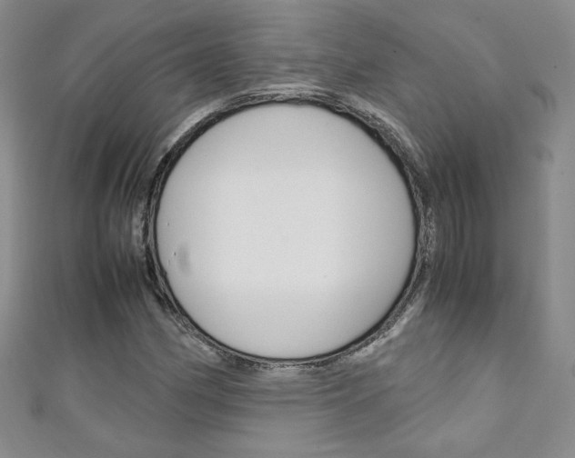 X0000111151162200906301031