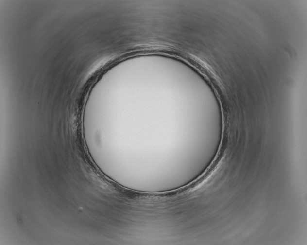 X0000111151163200906301031