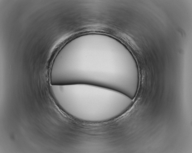 X0000111151164200906301031