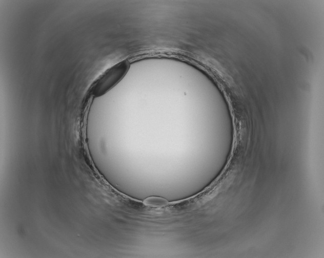 X0000111151165200906301031