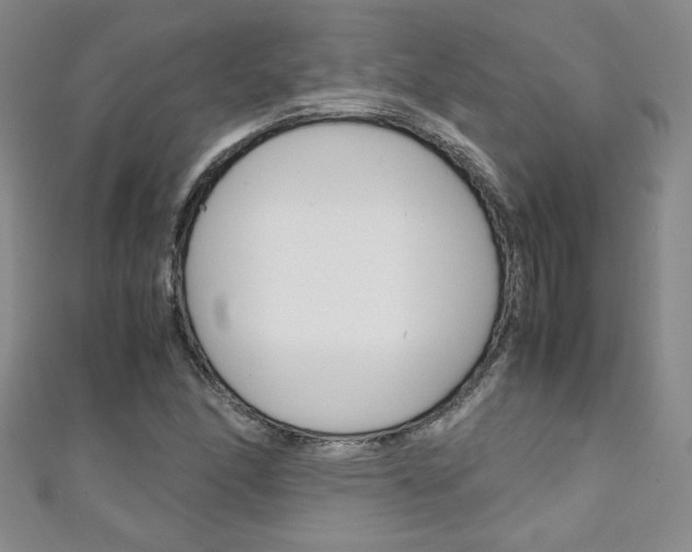 X0000111151166200906301031