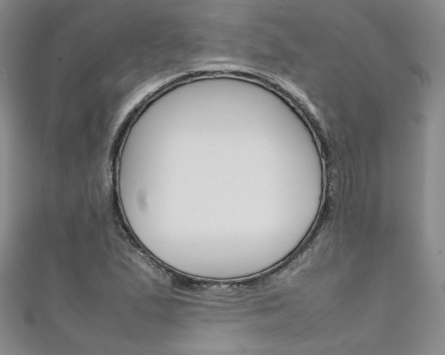 X0000111151167200906301031