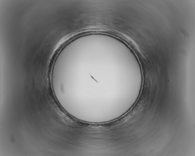 X0000111151168200906301031