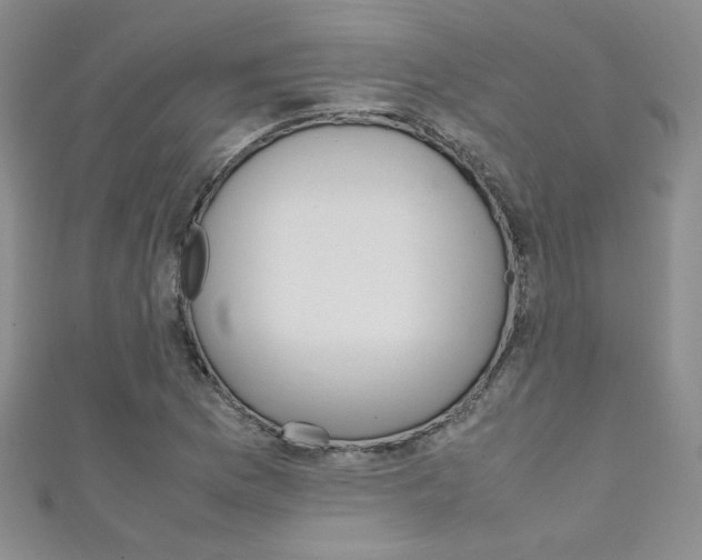X0000111151169200906301031