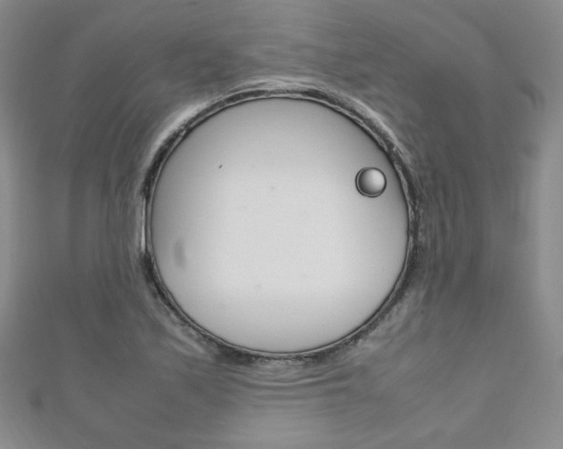 X0000111151171200906301031