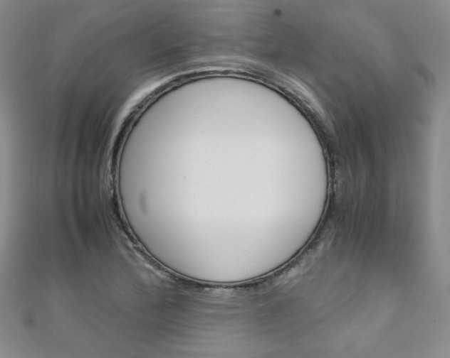 X0000111151172200906301031