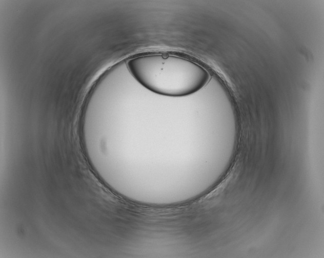 X0000111151173200906301031