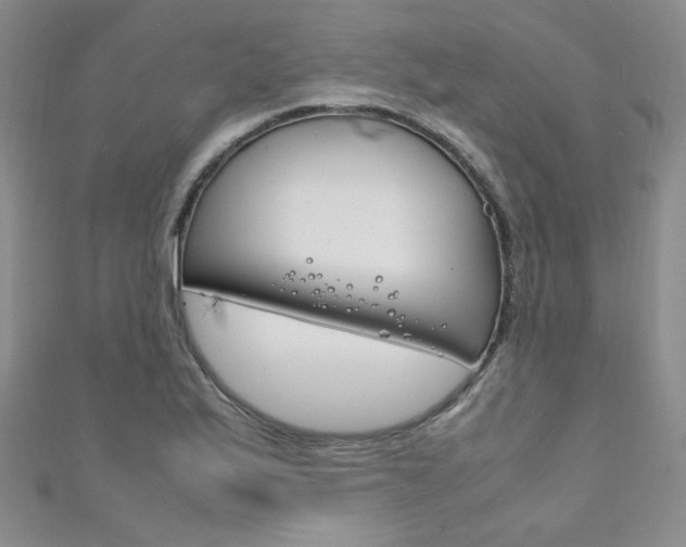 X0000111151175200906301031