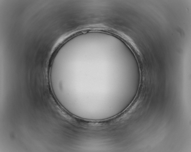 X0000111151176200906301031