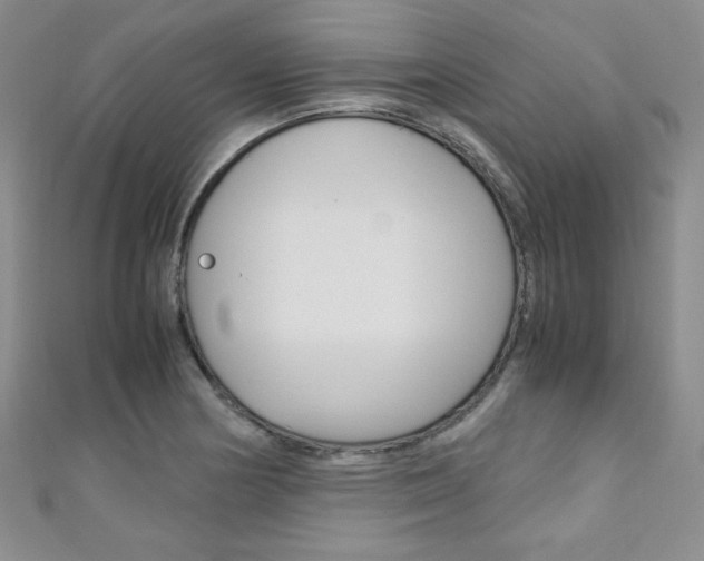 X0000111151178200906301031