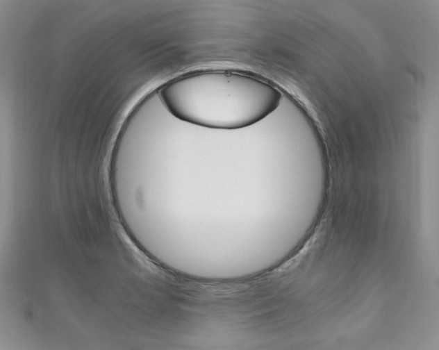 X0000111151181200906301031