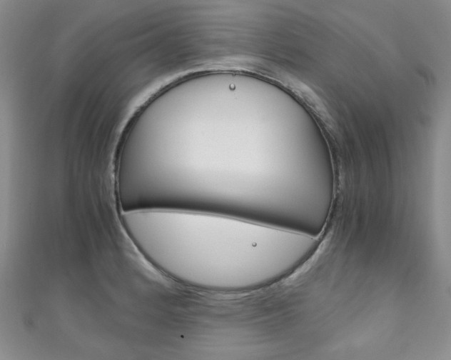 X0000111151184200906301031