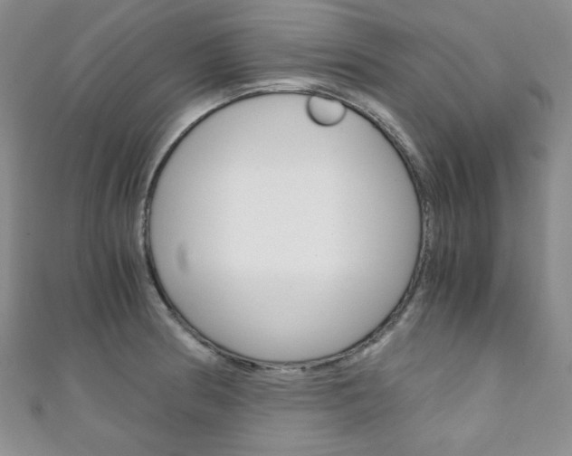 X0000111151186200906301031