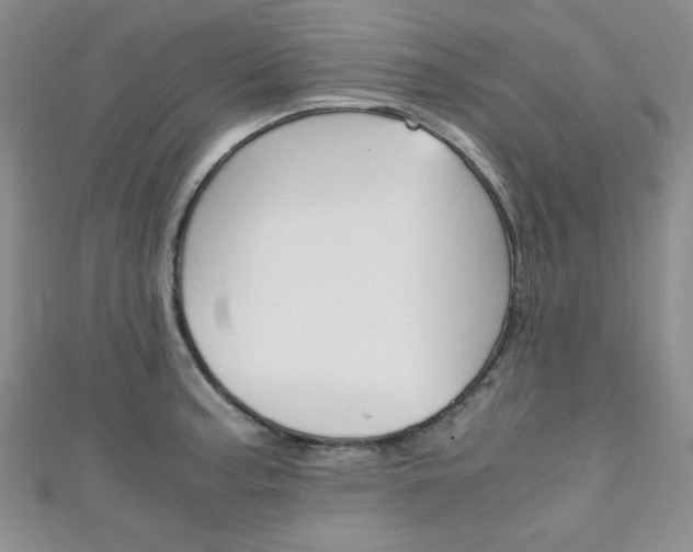 X0000111151187200906301031