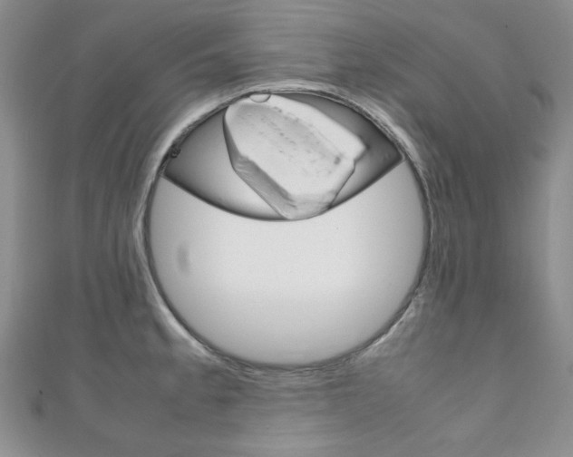 X0000111151189200906301031