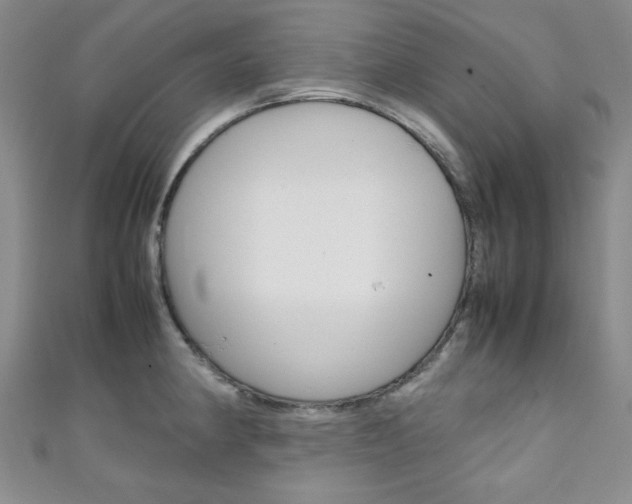 X0000111151190200906301031