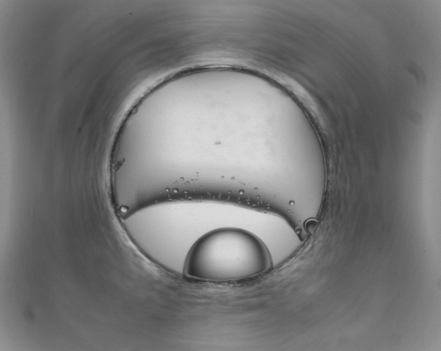X0000111151191200906301031