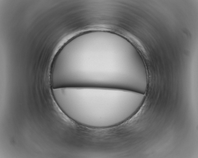 X0000111151192200906301031