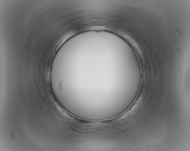 X0000111151193200906301031