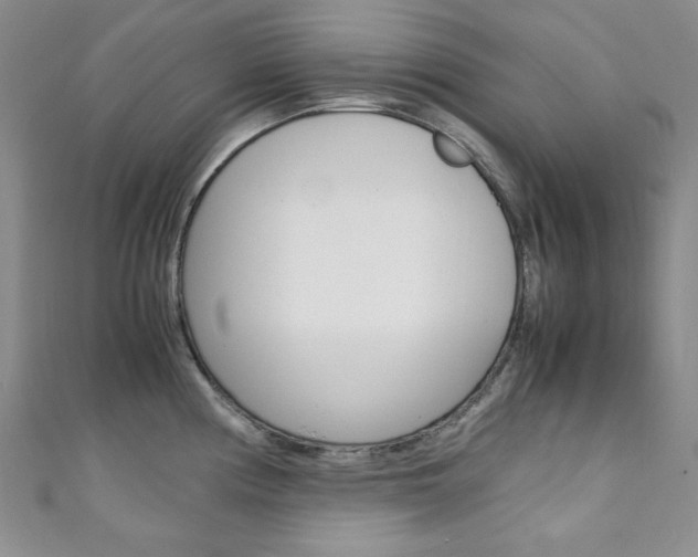 X0000111151194200906301031