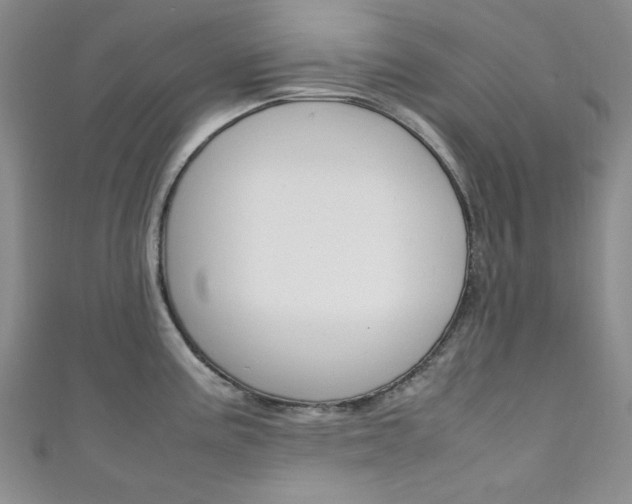 X0000111151195200906301031