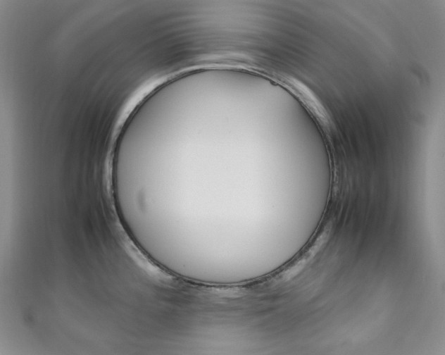 X0000111151196200906301031