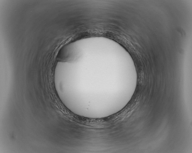 X0000111151201200906301030