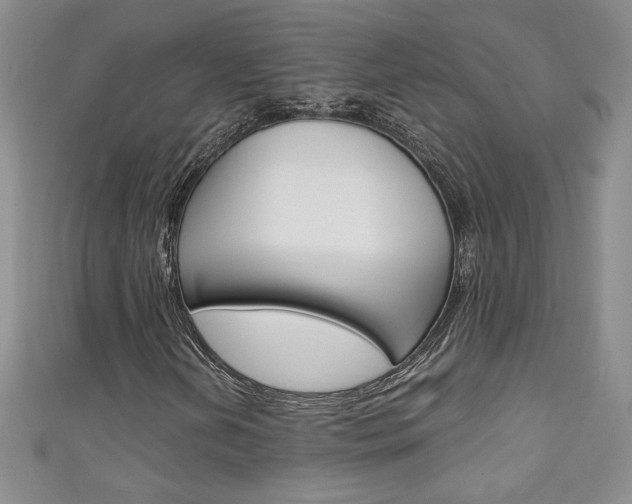 X0000111151202200906301030