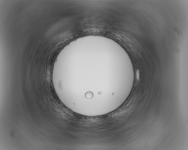 X0000111151203200906301030