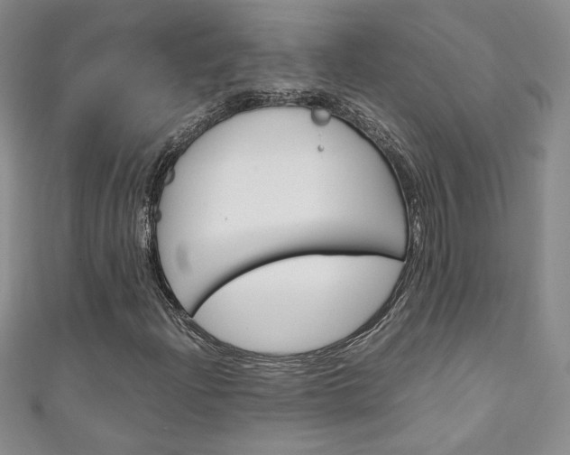 X0000111151204200906301030