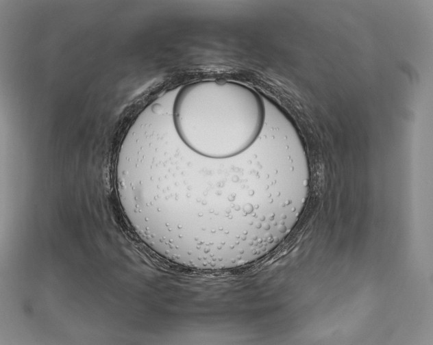 X0000111151205200906301030