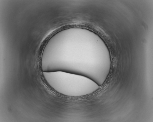 X0000111151208200906301030