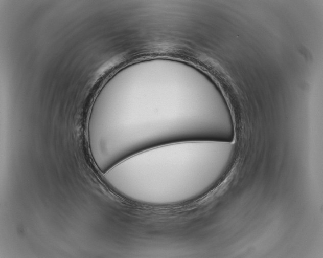 X0000111151210200906301030