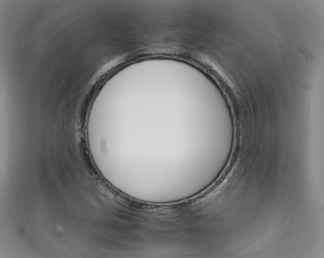 X0000111151213200906301030
