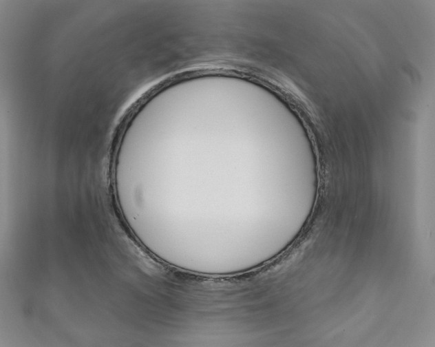 X0000111151216200906301030