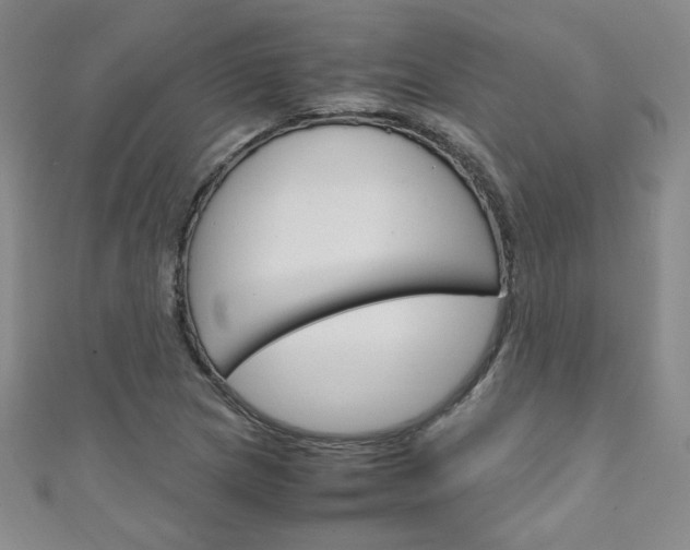 X0000111151217200906301030
