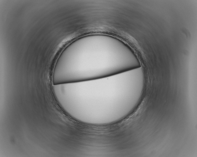 X0000111151218200906301030