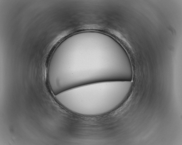 X0000111151221200906301031