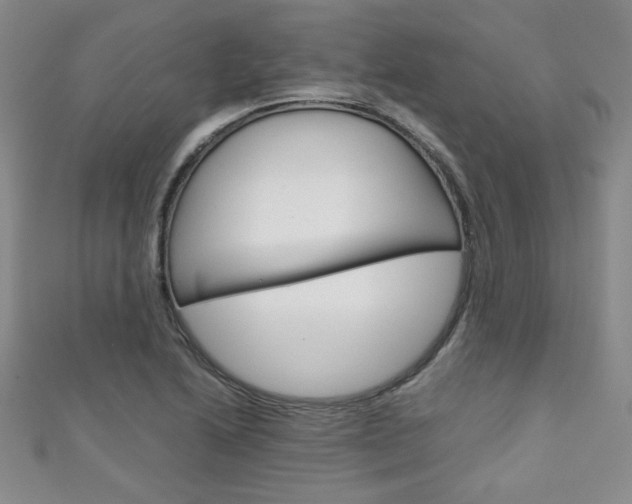 X0000111151222200906301031