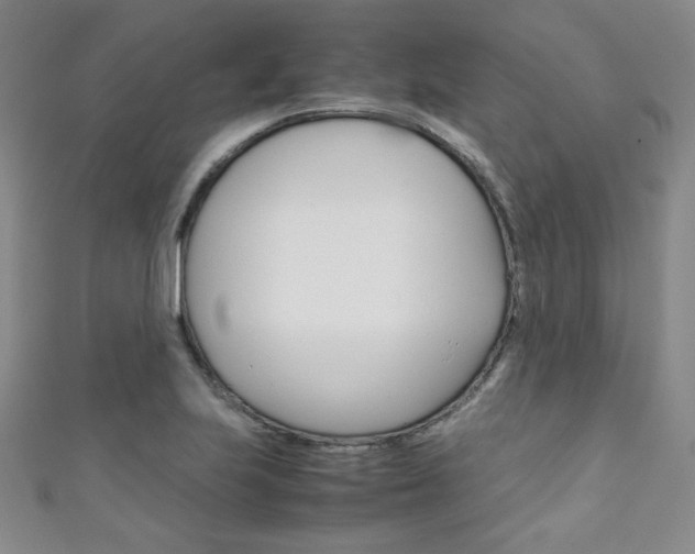 X0000111151223200906301031