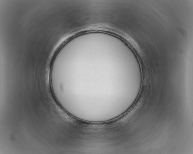 X0000111151224200906301031