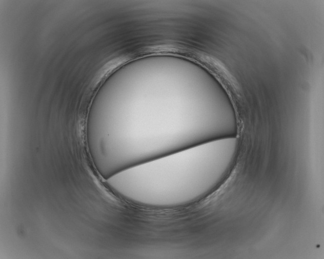 X0000111151225200906301031