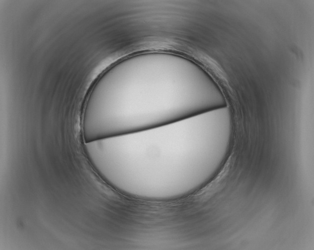 X0000111151226200906301031