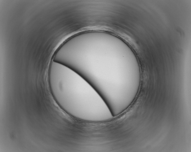 X0000111151228200906301031